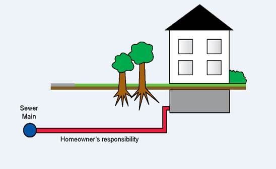 Sewer Line Graphic Showing Owner Responsibility from House to Sewer Main